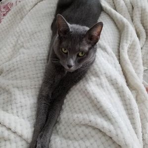 Meet your Posher, Kathy